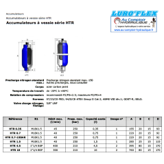 Accumulatore idraulico - vescica 0,35 L - HTR 035 - 250 B