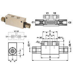 Vorgesteuertes Doppelrückschlagventil in T-Form - DN 1/4 BSP - R 1:4 - 12 L/MN - 350 B - L 126 Trale - 3