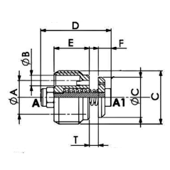 Inserire valvola paracadute 1" FBSP