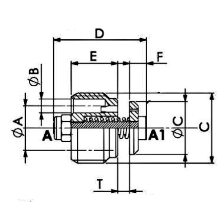 Inserire valvola paracadute 1" FBSP