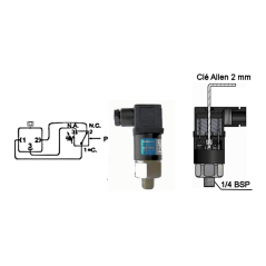 Einkontakt-Druckschalter - N.O. und N.C. - Einstellbar - Maximaler Druck 25 Bar - Bereich: 1 bis 10 Bar. FOX - 3