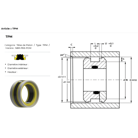 Set of D.E. seals - 25 X 40 - DICSA