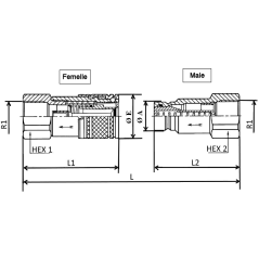 FACE PLANE-Kupplung - Male 1/2 BSP - PS 250 Bar