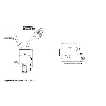 Termostato T247 - da 36 a 47 °C - 3/8 BSP