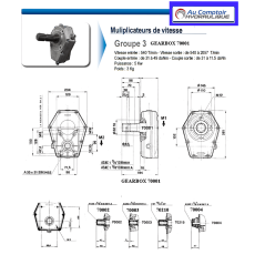 GR3 Multiplikator/Pumpe - R 1:3.5 - Pumpe 28 cc - 53 L/MN - 3/8 Außenwelle 6 Zähne.