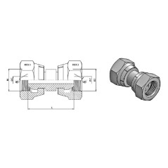 Femmina destra - FBSPT 1/4 X FBSPT 1/4 - cono a 60°. Trale - 3