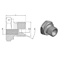 M-F Reducer - MBSPCT 1/4 x FG 1/8 BSP - 60° Taper. Trale - 3