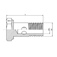 Single screw 1/8 BSP - for 1/8 BSP banjo coupling