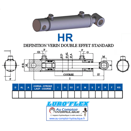 Double-acting hydraulic cylinder 16x25 - with Ø 12 mounting - 1/4 BSP outlet