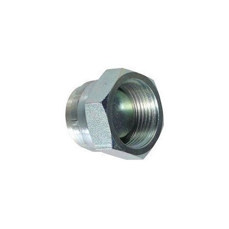 Stopfen mit Innengewinde - TBSP-Fitting 1" - Konus 60 - 1