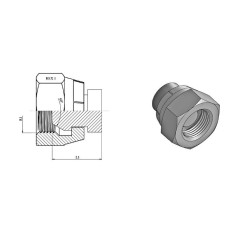 Female plug - TBSP 1" connection - Cone 60 - 3