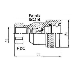 Racor ISO B - Hembra 1/2 BSP - Caudal 45 L/mn - PS 250 Bar