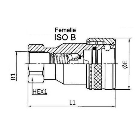 Raccordo ISO B - Femmina 1/2 BSP - Portata 45 L/mn - PS 250 Bar