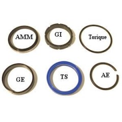 Set of reinforced S.E seals - ROD of 50 - SE50 - CICROSA J650 55,15 €