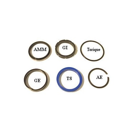 Set of reinforced S.E seals - ROD of 50 - SE50 - CICROSA J650 55,15 €