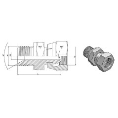 MBSPT 1/4 X FBSPT 1/4 - 60° taper. Trale - 3