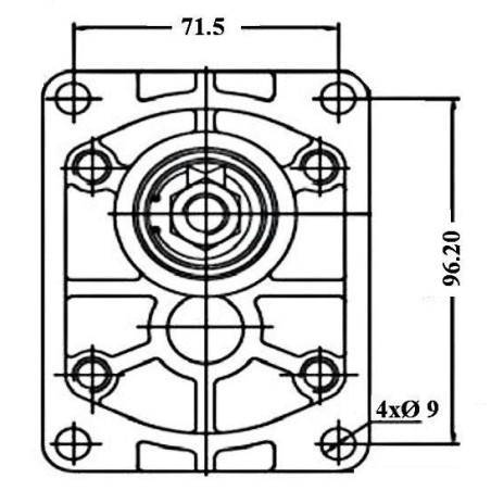 GR2/GR2 double pumps - Italian front flange - 1:8 tapered shaft