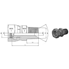 Adaptador cónico macho BSPT 1/4 X FBSPT 1/4 - Conicidad de 60°. Trale - 2