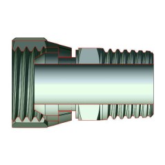 Konischer Außengewindeadapter BSPT 1/4 X FBSPT 1/4 - 60° Konus. Trale - 3