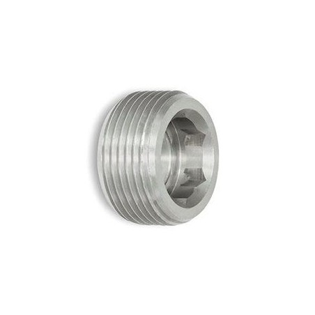 Headless hexagonal male plug 1/4 BSP Trale - 1