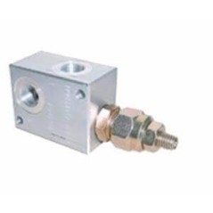 Trale Valvola di sicurezza 1/2 BSP - 80 L/MN - 250 B - TARE 80 B - 1