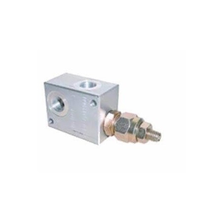 Trale Valvola di sicurezza 1/2 BSP - 80 L/MN - 250 B - TARE 80 B - 1