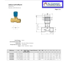 Bidirectional flow regulator: 1" FBSP - 125 L/mn - 350 B