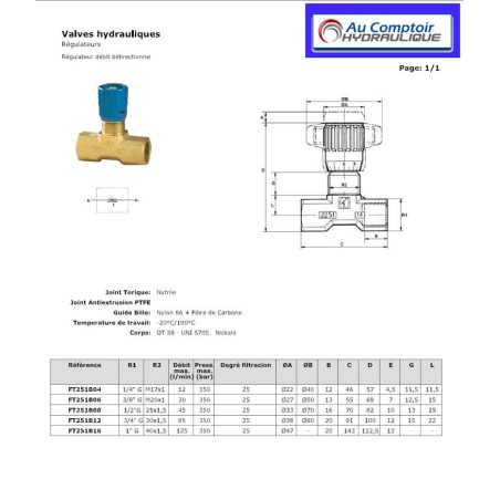 Bidirectional flow regulator: 1" FBSP - 125 L/mn - 350 B