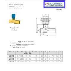 Regulador de caudal unidireccional: 1" FBSP - 125 L/mn - 350 B