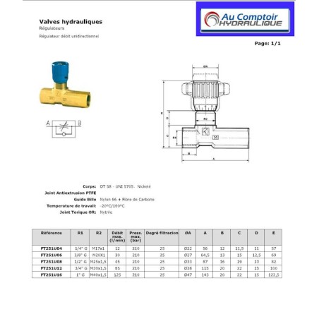 Regolatore di portata unidirezionale: 1/2 FBSP - 45 L/mn - 350 B