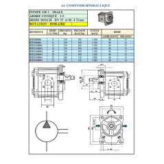 Trale Bomba hidráulica GR2 - DERECHA - 06.0 CC - BOSCH FLANGE - 3