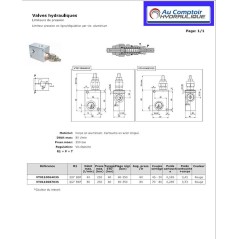 Druckbegrenzungsventil 3/8 BSP - 40 L/MN - 250 B - TARE 80 B VT0110064035 56,99