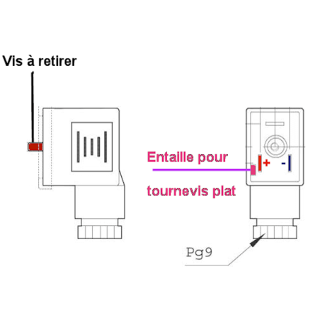 Conector rectificador LED transparente - 110/50 V