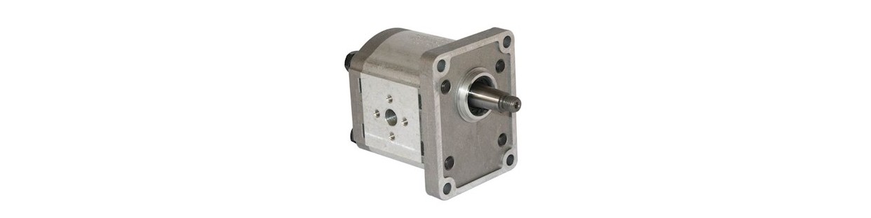 GR0 -GR1 - GR2 - GR3 hydraulic gear pumps.