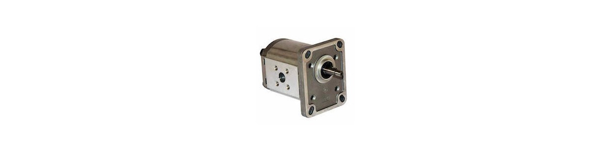 Hydraulic gear pump type - GR1