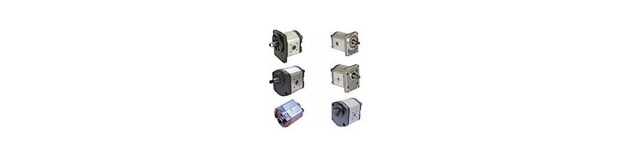 GR2 hydraulic gear pump