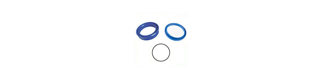 Single-acting cylinder gasket Dicsa, G.E.A. - Au Comptoir Hydraulique