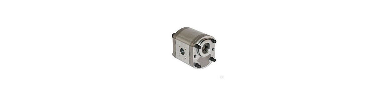 Pompa bosch gr2 - Au Comptoir Hydraulique