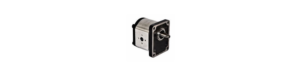 GR3 hydraulic gear pump with flanges