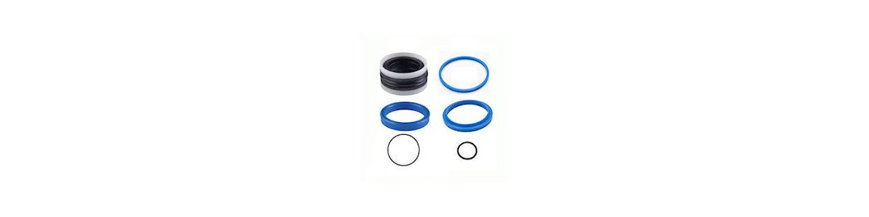 Gasket for DICSA double-acting hydraulic cylinder - Comptoir Hydraulique