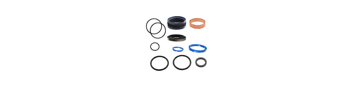 Double acting hydraulic cylinder seals - Au Comptoir Hydraulique